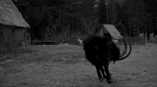 tumblr_oe18wxiu371tq3reno1_500