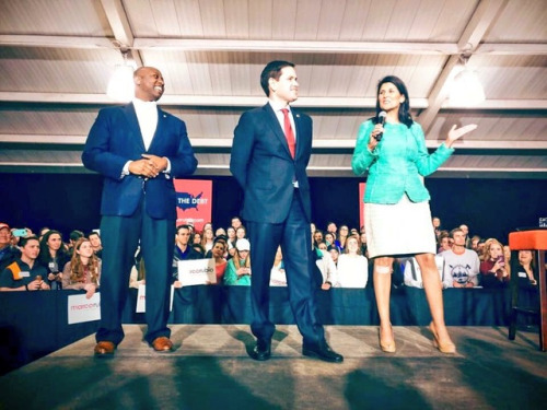 tumblr_olnj1vqagx1vcqu31o1_500