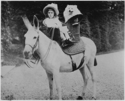 tumblr_olr46x3z5l1txdeaio1_1280